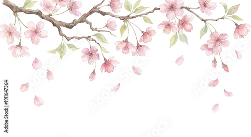 Watercolor clipart, horizontal overhanging branch of cherry blossoms, delicate pink petals falling slightly, top border composition for stationery header, soft pastel colors