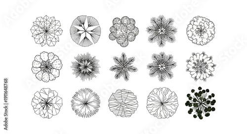 architectural top view trees and landscape design plants a clean black and white vector outline collection for site plans and urban planning projects.