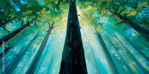 Looking up through a dense forest canopy towards bright sunlight.