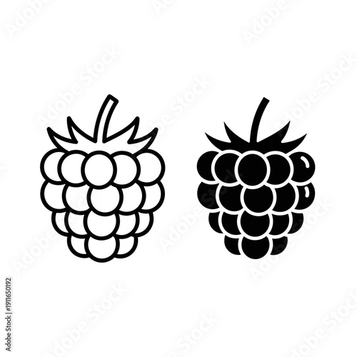 Black and white illustration of two blackberries Vector