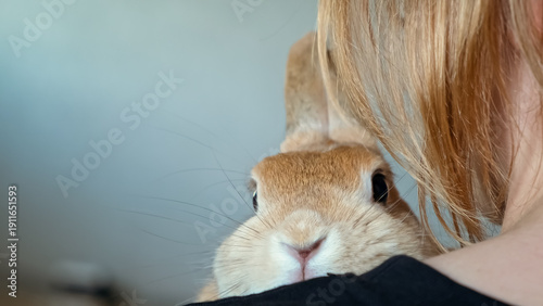 Cute Easter Bunny on hands of a girl. Pet therapy. The rabbits nose. Hugging an animal. A state of happiness and pleasure. Affection and hugs. Concept of Love. Heart against heart. Copy space.