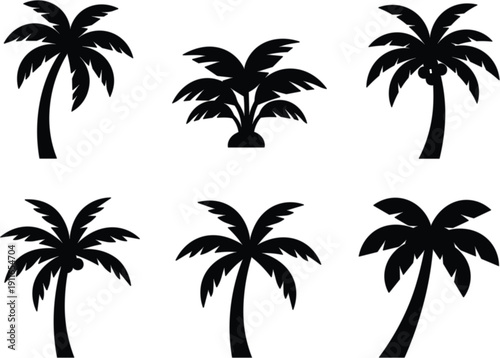Tropical Palm Tree Silhouette Collection with Different Shapes Black Vector Illustration Set