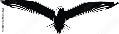 A bird in flight viewed from below with spread wings and sharp talons visible in the air