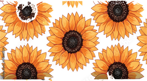 Seamless sunflower pattern vector illustration with bright yellow floral design, hand drawn botanical background for summer textile and wallpaper