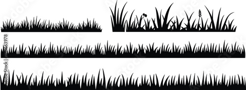 Set of black grass border silhouettes with wild plants and meadow elements in flat vector style, isolated on white background for design.