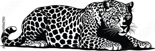 Black and white illustration of a leopard lying down relaxed on plain surface viewed from side Whisk_90a746105084a3a9fbd4f895762459d5dr.eps