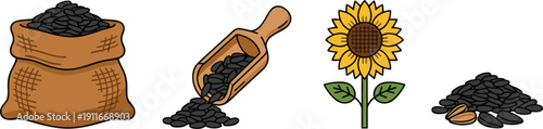 Sunflower Seeds and Blooming Sunflower Set with Sack and Scoop in Hand Drawn Flat Vector Illustration