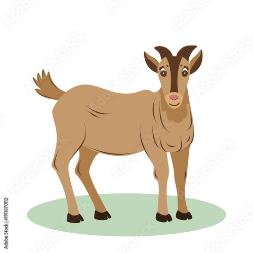 Cartoon goat isolated on white background. Cute farm animal illustration for kids designs, agriculture themes and spring concepts.