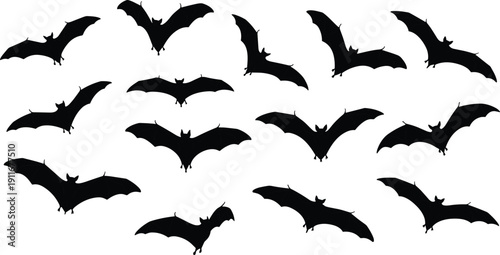 Black bat silhouette vector set featuring various flying poses and wing spans isolated on white background for Halloween decor, spooky themes, and wildlife graphics.