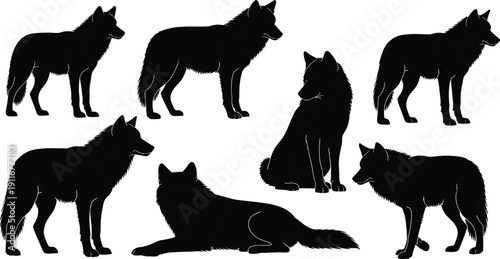 Black wolf silhouette vector set featuring various predator poses including standing, sitting, and lying down isolated on white background for wildlife and nature designs.