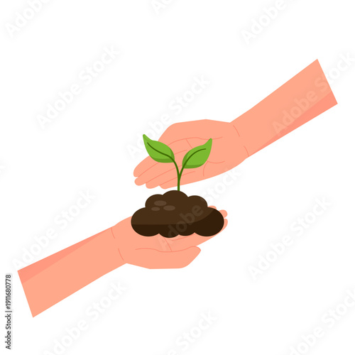 Hand Offering Young Plant