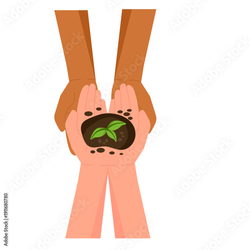 Diverse Hands Holding Small Seedling