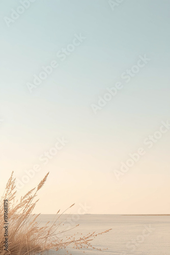Wallpaper Mural A peaceful negative space nature scene showing a wide open plain under a soft gradient sky, with only a small natural element near the edge of the frame. The composition emphasizes Torontodigital.ca