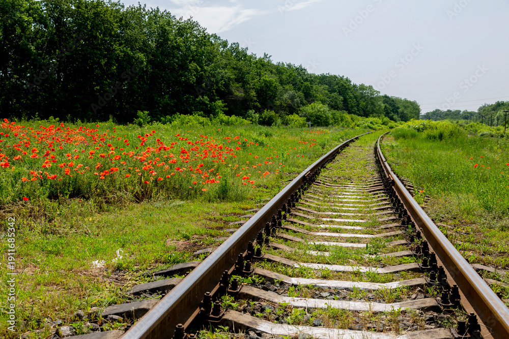 Obraz premium A fragment of a railroad track with rails