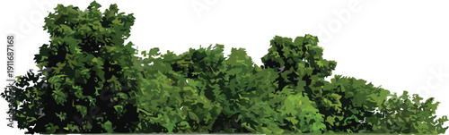Green foliage vector illustration of a stylized forest edge or bush line for nature-themed design projects.