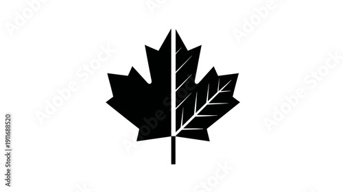 A simple, symmetrical design of a leaf, with the left side solid black and the right side with white veins