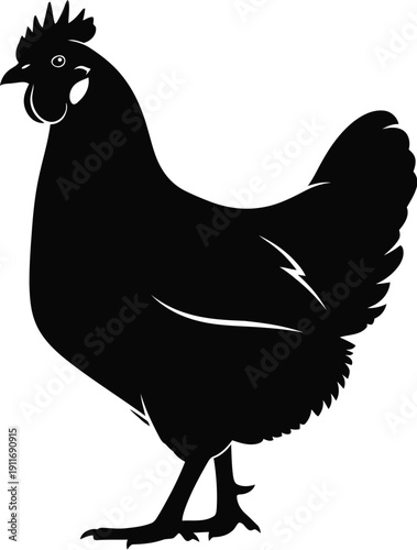 A black hen stands proudly with wings slightly lifted in a simple illustration.