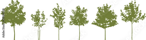 Green young trees silhouette set vector illustration for landscape design and environmental graphics. Simple flat graphic style.