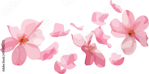 Pink cherry blossom flowers and petals falling illustration vector set for spring design background and decorative elements