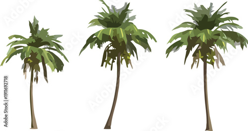 Collection of three stylized palm trees vector illustration set for tropical design elements and icons