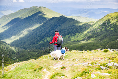 Wallpaper Mural trekking with dog in Rodnei national park Romania Torontodigital.ca
