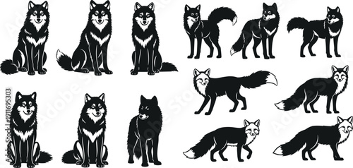 Black wolf and fox silhouette set, wild canine predators in sitting and standing poses, forest animal vector icons for nature design,