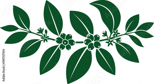 Stylized green coffee branch graphic design element featuring dark green leaves, clusters of coffee cherries, and small white flowers, representing botanical foliage and a coffee plant.