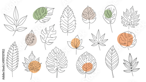 Collection of diverse leaf line art drawings with subtle colored background shapes showing various different species.