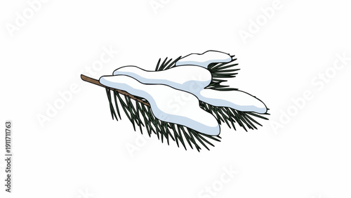 Snow Covered Pine Branch Winter Scene.