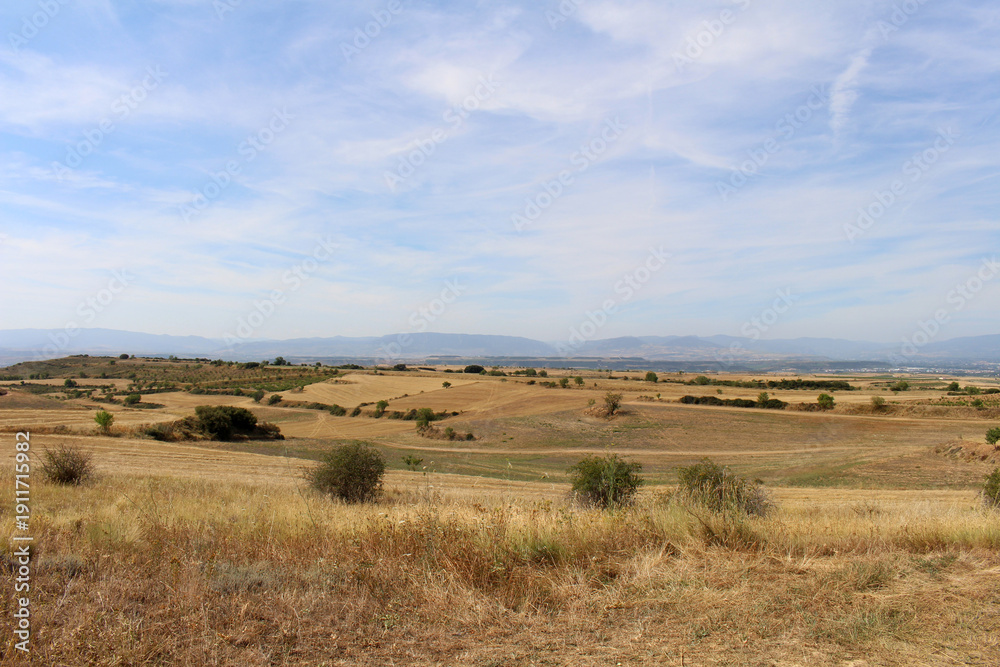 Fototapeta premium Dirt path approaching Viana on Camino de Santiago Frances in Navarra Spain July 2024