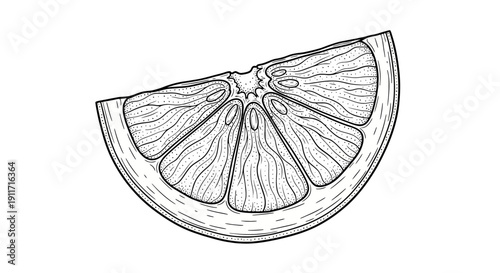 Detailed black and white illustration of a single citrus fruit slice.