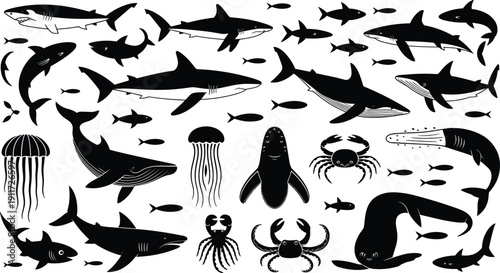 Ocean Wildlife Silhouette Set, Sharks Whales Jellyfish Crab and Sea Creatures Vector Collection, Marine Animal Illustration for Graphic Design