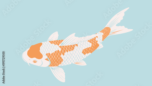 Koi fish illustration on light blue background decorative design element