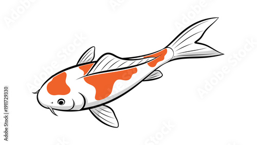 Koi fish illustration on white background for graphic design