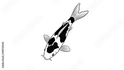 Koi fish illustration on white background isolated for design elements