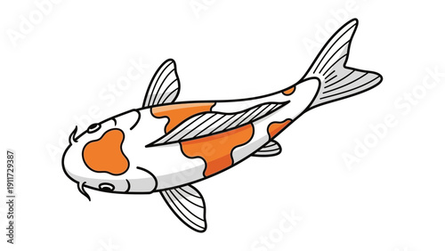 Koi fish illustration orange and white pattern on isolated white background