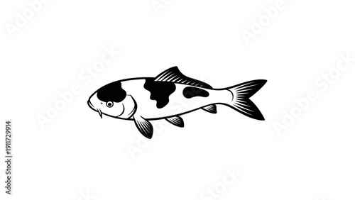 Monochrome koi fish illustration on white background vector design