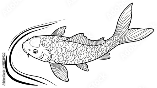 Monochrome koi fish illustration with curved lines decorative design