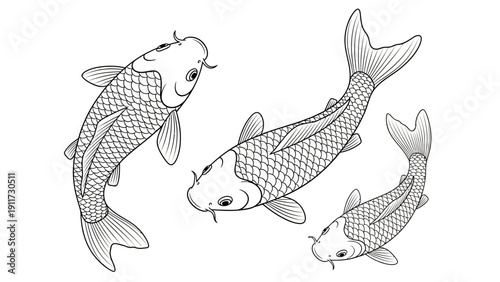 Three vector illustrations of koi fish with detailed scales and fins
