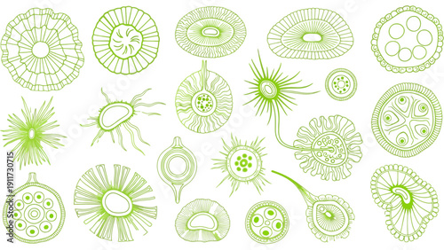 vibrant green scientific illustration of diverse microorganisms showcasing intricate unicellular life forms cellular structures and biological patterns.