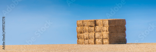 hay bales in the field