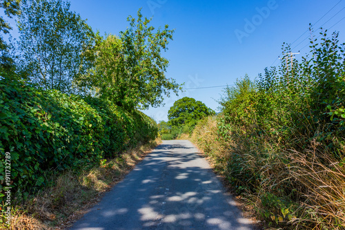 A Shropshire Country lane