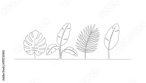 Minimalist line drawing of four tropical leaves on stems isolated on transparent background