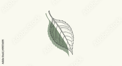 Vector illustration of a single green leaf with detailed veins isolated on beige background