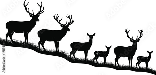 Deer family silhouette walking along hillside, wildlife scene with stag, doe and fawn, black vector illustration, nature concept, isolated on white background