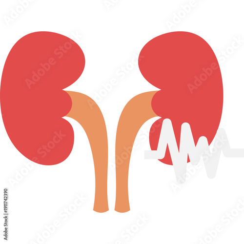 Kidney Organ Health Pulse Icon