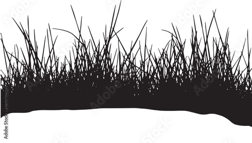 Tall grass silhouette patch on white background with varied heights