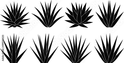 Agave plant silhouette illustration set, botanical artwork, succulent vector design, agriculture symbol pack, desert flora graphic collection, black leaf sketch