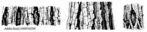 Detailed hand drawn tree bark texture set with rough natural cracks