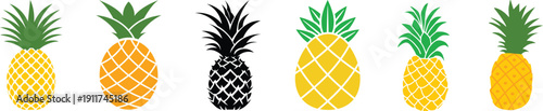 Set of pineapple. pineapple fruit vector. pineapple fruit vector collection. pineapple fruit illustration in flat style. fresh summer fruit.